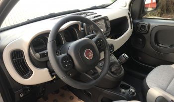 Fiat Panda 0.9 Twin Air 85cv 4×40° Edizione speciale limitata completo